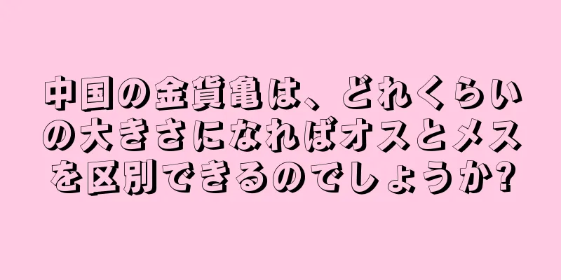 中国の金貨亀は、どれくらいの大きさになればオスとメスを区別できるのでしょうか?
