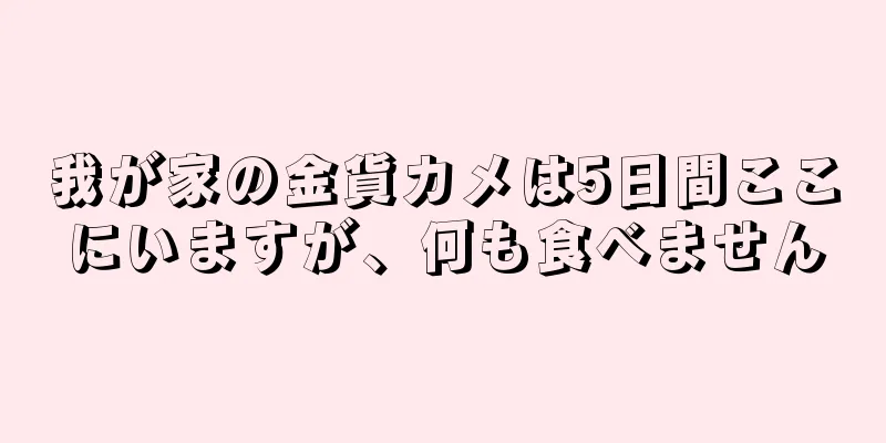 我が家の金貨カメは5日間ここにいますが、何も食べません