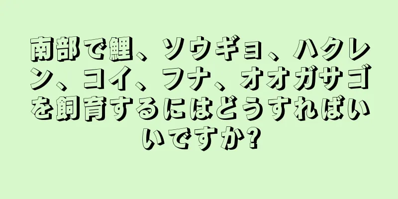 南部で鯉、ソウギョ、ハクレン、コイ、フナ、オオガサゴを飼育するにはどうすればいいですか?