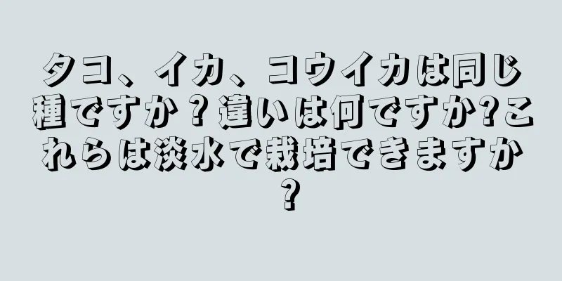 タコ、イカ、コウイカは同じ種ですか？違いは何ですか?これらは淡水で栽培できますか？