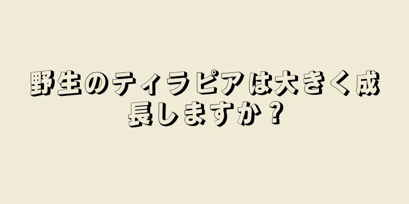 野生のティラピアは大きく成長しますか？