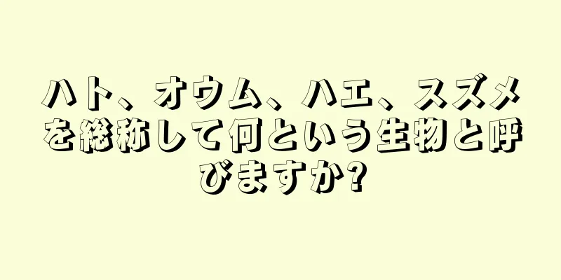 ハト、オウム、ハエ、スズメを総称して何という生物と呼びますか?