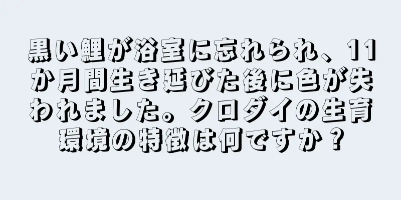 黒い鯉が浴室に忘れられ、11か月間生き延びた後に色が失われました。クロダイの生育環境の特徴は何ですか？