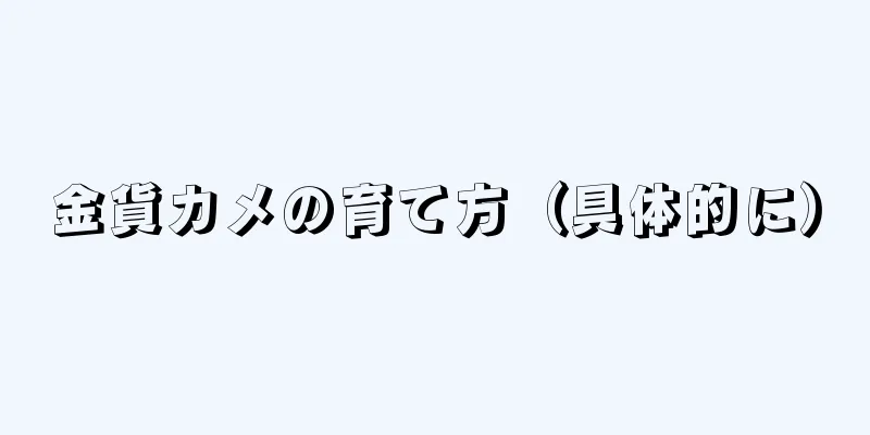 金貨カメの育て方（具体的に）