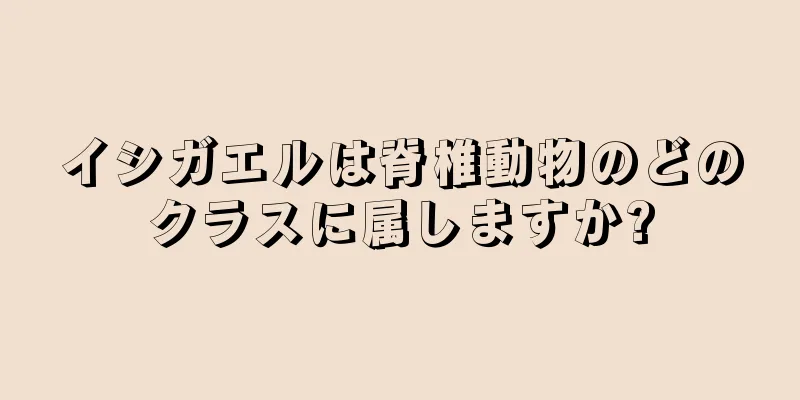 イシガエルは脊椎動物のどのクラスに属しますか?
