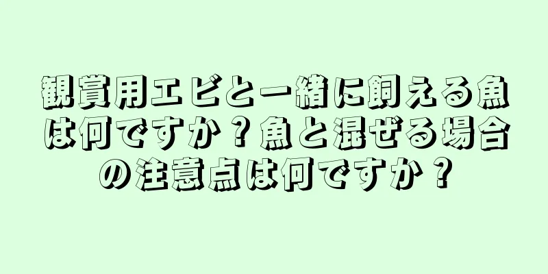 観賞用エビと一緒に飼える魚は何ですか？魚と混ぜる場合の注意点は何ですか？