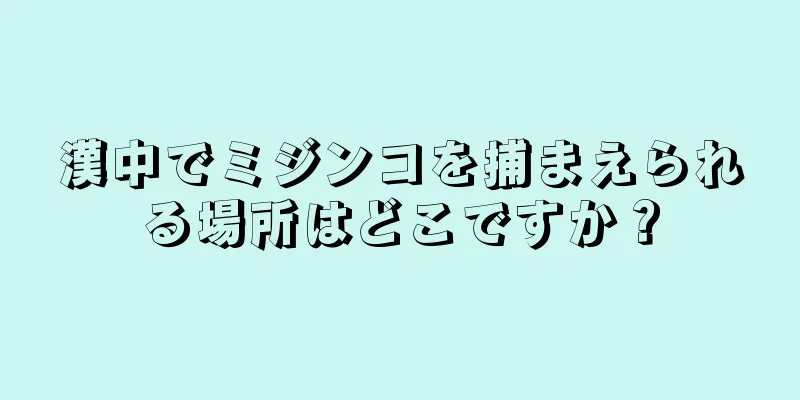 漢中でミジンコを捕まえられる場所はどこですか？