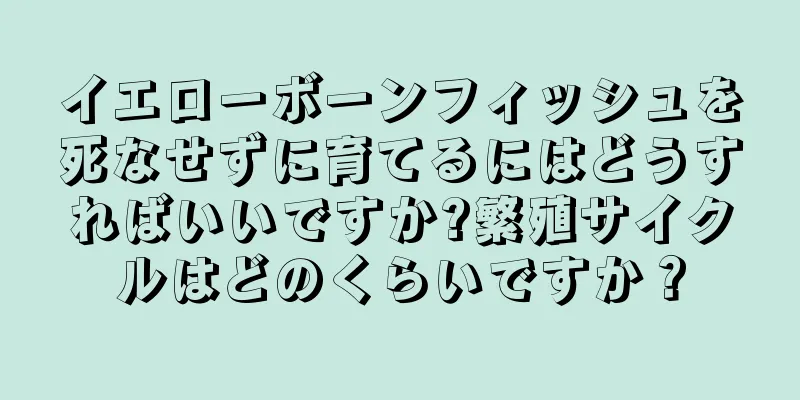 イエローボーンフィッシュを死なせずに育てるにはどうすればいいですか?繁殖サイクルはどのくらいですか？