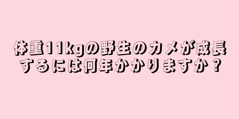 体重11kgの野生のカメが成長するには何年かかりますか？