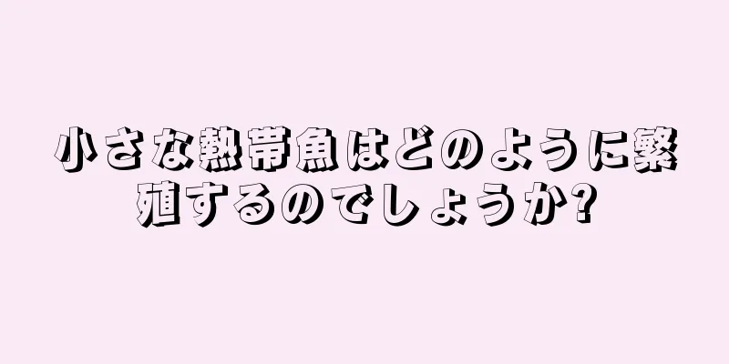 小さな熱帯魚はどのように繁殖するのでしょうか?