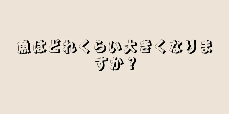 魚はどれくらい大きくなりますか？