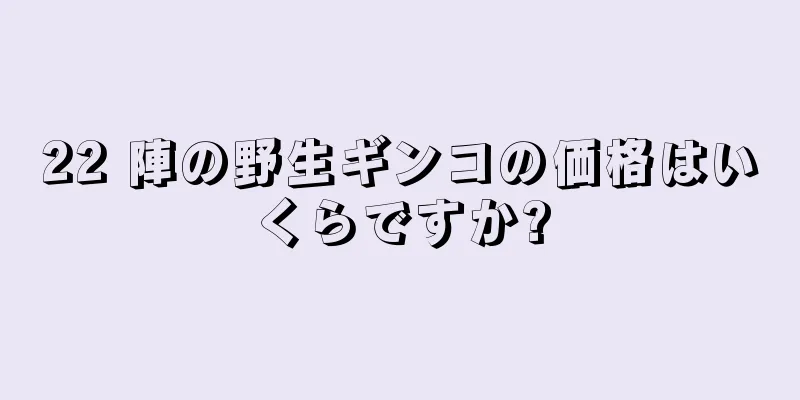 22 陣の野生ギンコの価格はいくらですか?