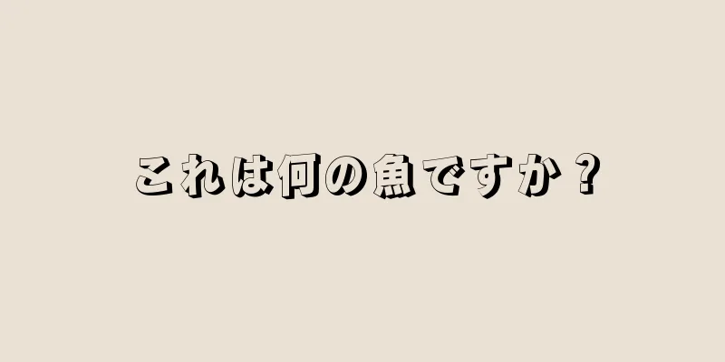 これは何の魚ですか？