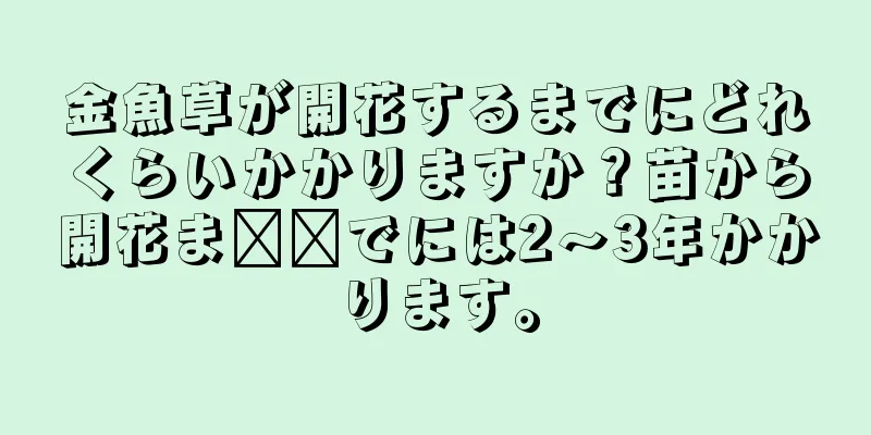 金魚草が開花するまでにどれくらいかかりますか？苗から開花ま​​でには2～3年かかります。