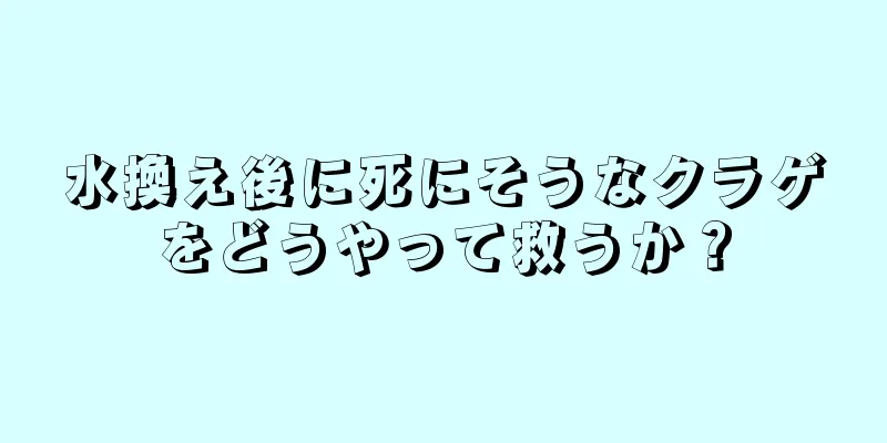 水換え後に死にそうなクラゲをどうやって救うか？
