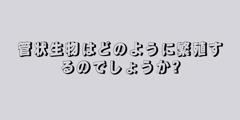 管状生物はどのように繁殖するのでしょうか?