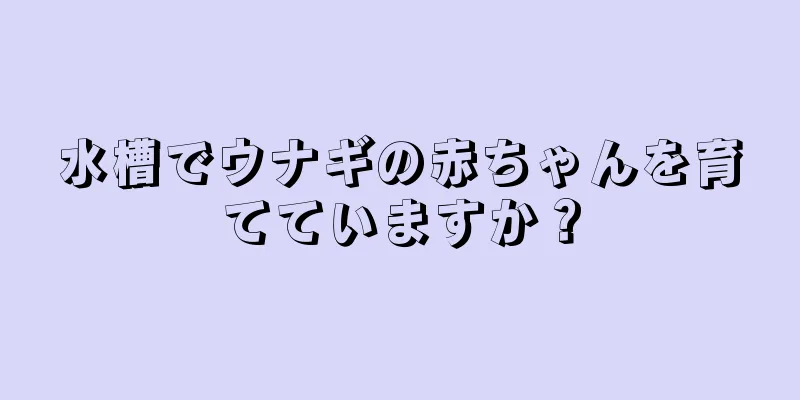 水槽でウナギの赤ちゃんを育てていますか？