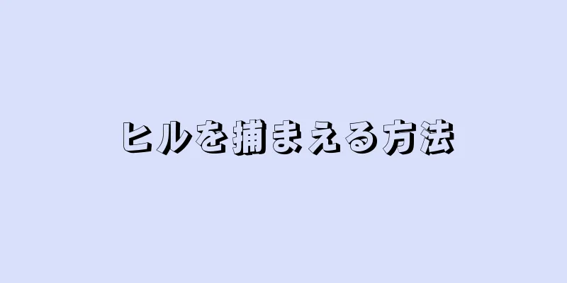 ヒルを捕まえる方法