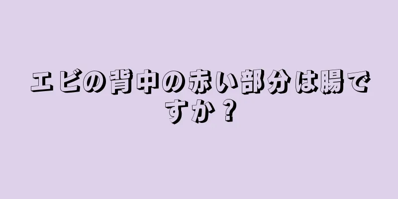 エビの背中の赤い部分は腸ですか？