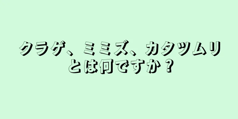 クラゲ、ミミズ、カタツムリとは何ですか？