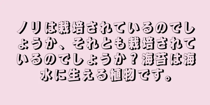 ノリは栽培されているのでしょうか、それとも栽培されているのでしょうか？海苔は海水に生える植物です。
