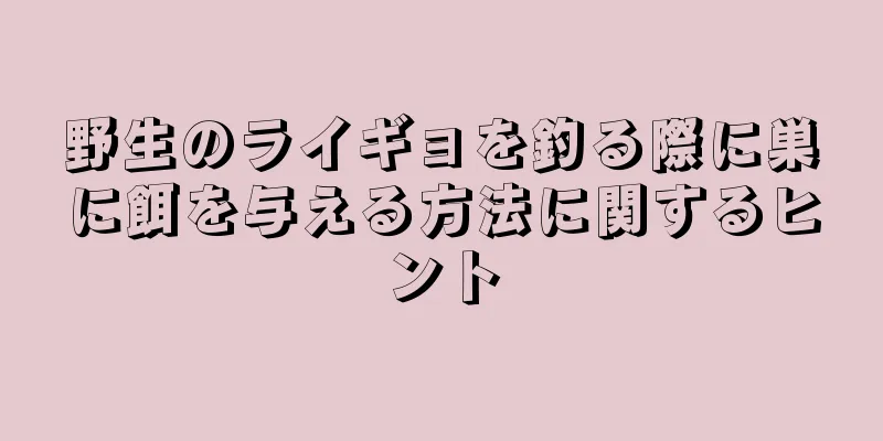 野生のライギョを釣る際に巣に餌を与える方法に関するヒント