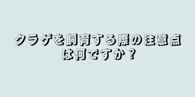 クラゲを飼育する際の注意点は何ですか？