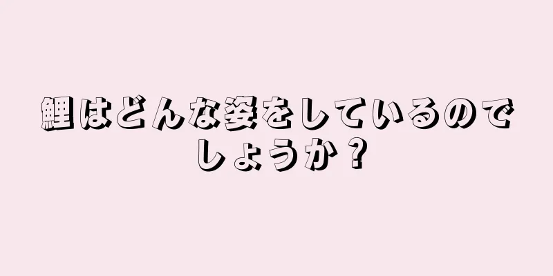 鯉はどんな姿をしているのでしょうか？