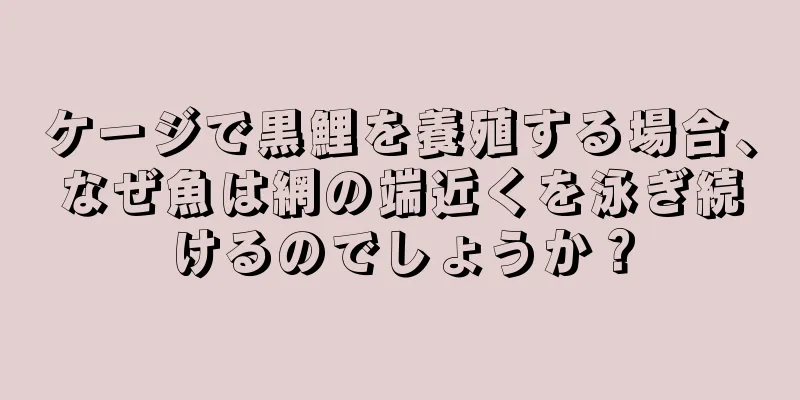 ケージで黒鯉を養殖する場合、なぜ魚は網の端近くを泳ぎ続けるのでしょうか？
