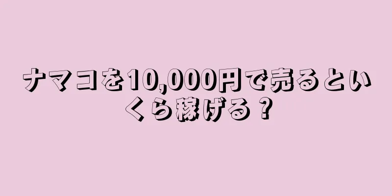 ナマコを10,000円で売るといくら稼げる？