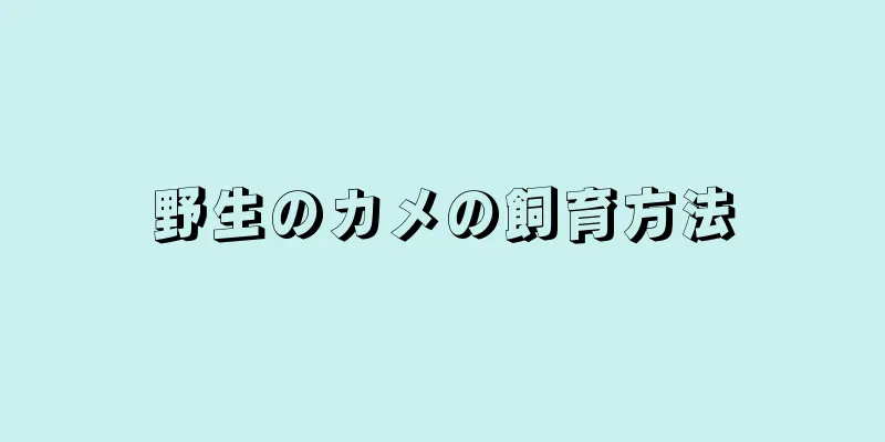 野生のカメの飼育方法