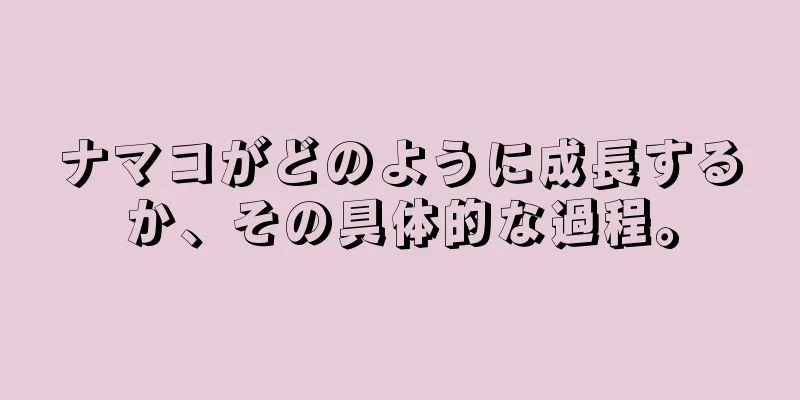 ナマコがどのように成長するか、その具体的な過程。