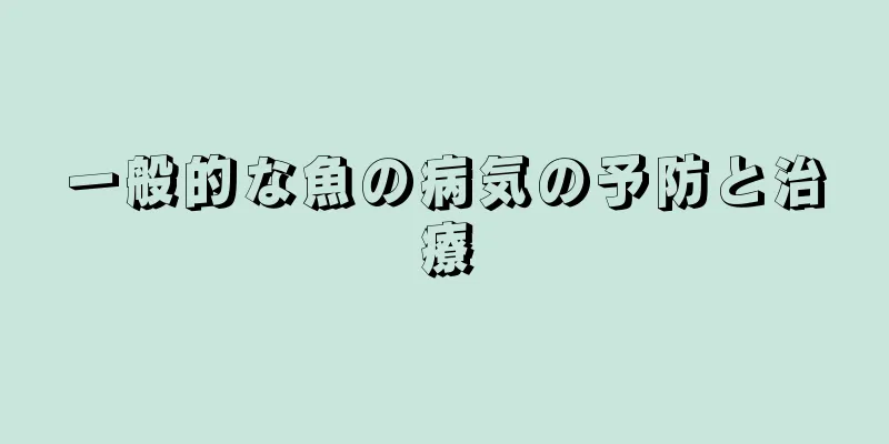 一般的な魚の病気の予防と治療