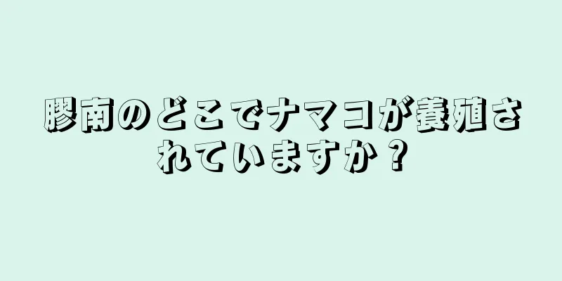 膠南のどこでナマコが養殖されていますか？