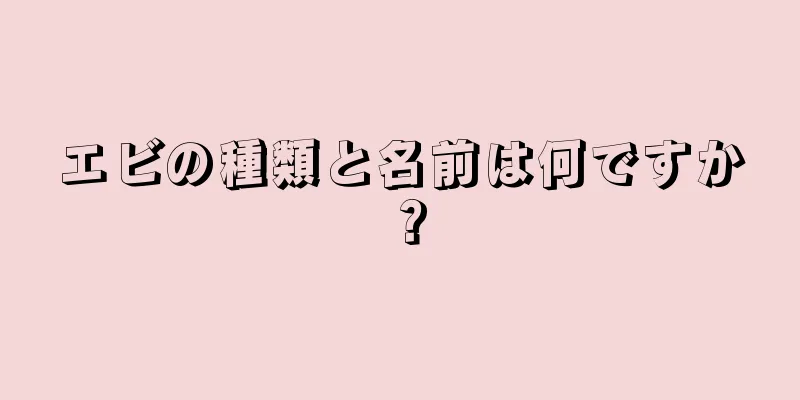 エビの種類と名前は何ですか？
