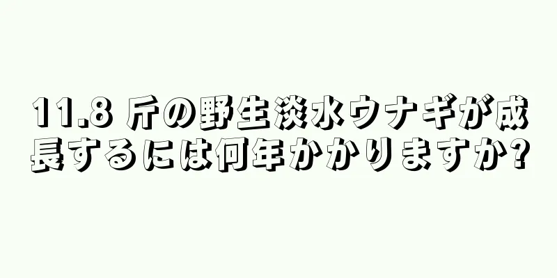11.8 斤の野生淡水ウナギが成長するには何年かかりますか?