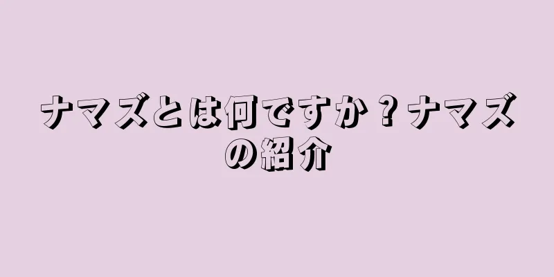 ナマズとは何ですか？ナマズの紹介