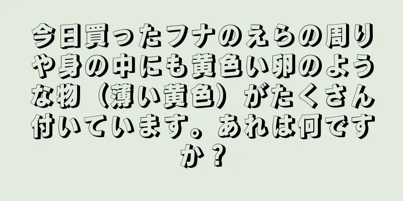 今日買ったフナのえらの周りや身の中にも黄色い卵のような物（薄い黄色）がたくさん付いています。あれは何ですか？