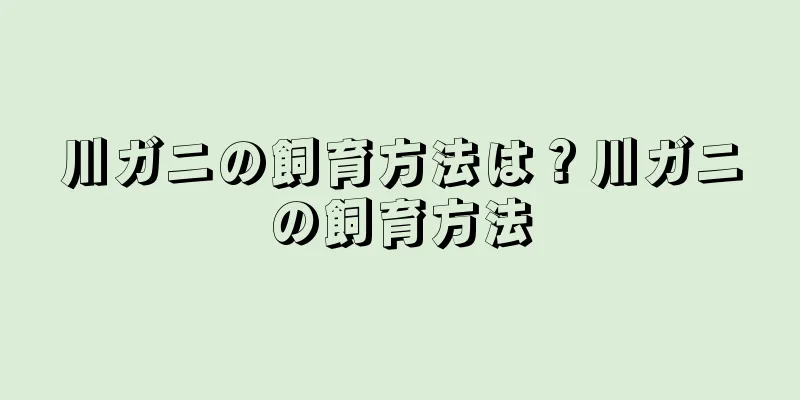 川ガニの飼育方法は？川ガニの飼育方法