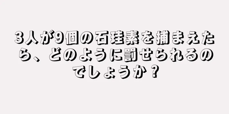 3人が9個の石珪素を捕まえたら、どのように罰せられるのでしょうか？