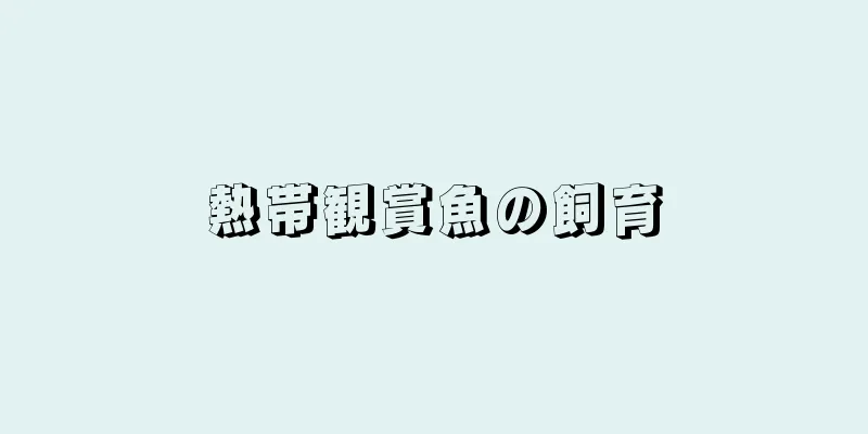 熱帯観賞魚の飼育