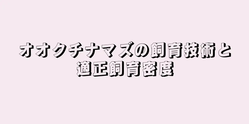 オオクチナマズの飼育技術と適正飼育密度