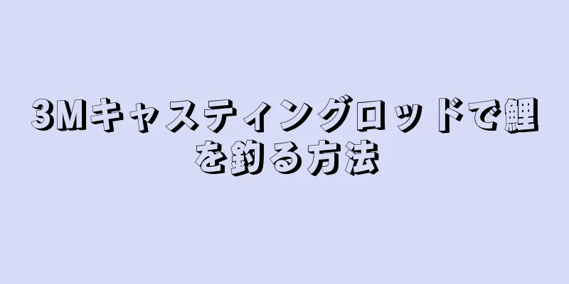 3Mキャスティングロッドで鯉を釣る方法
