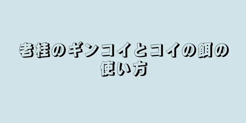 老桂のギンコイとコイの餌の使い方