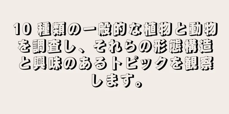 10 種類の一般的な植物と動物を調査し、それらの形態構造と興味のあるトピックを観察します。