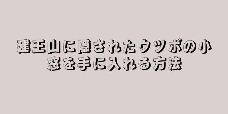 建王山に隠されたウツボの小窓を手に入れる方法