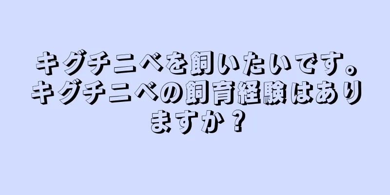 キグチニベを飼いたいです。キグチニベの飼育経験はありますか？