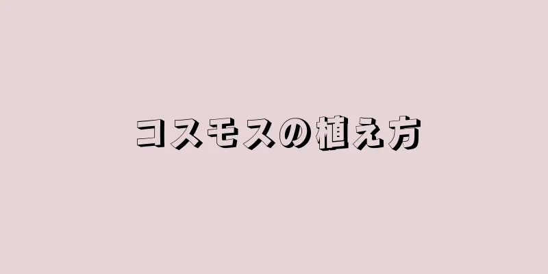 コスモスの植え方
