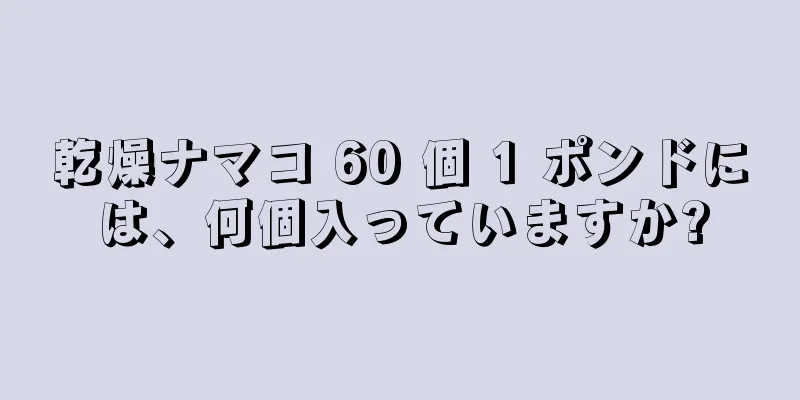 乾燥ナマコ 60 個 1 ポンドには、何個入っていますか?
