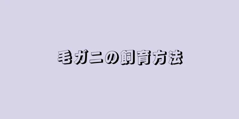 毛ガニの飼育方法
